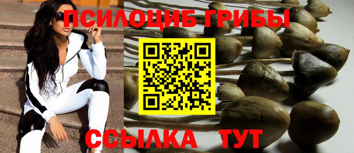 Галлюциногенные грибы Magic Shrooms  Вход с VPN  Шадринск  Галлюциногенные грибы Magic Shrooms 