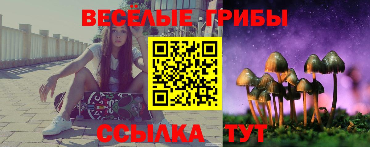 Галлюциногенные грибы GOLDEN TEACHER Шадринск